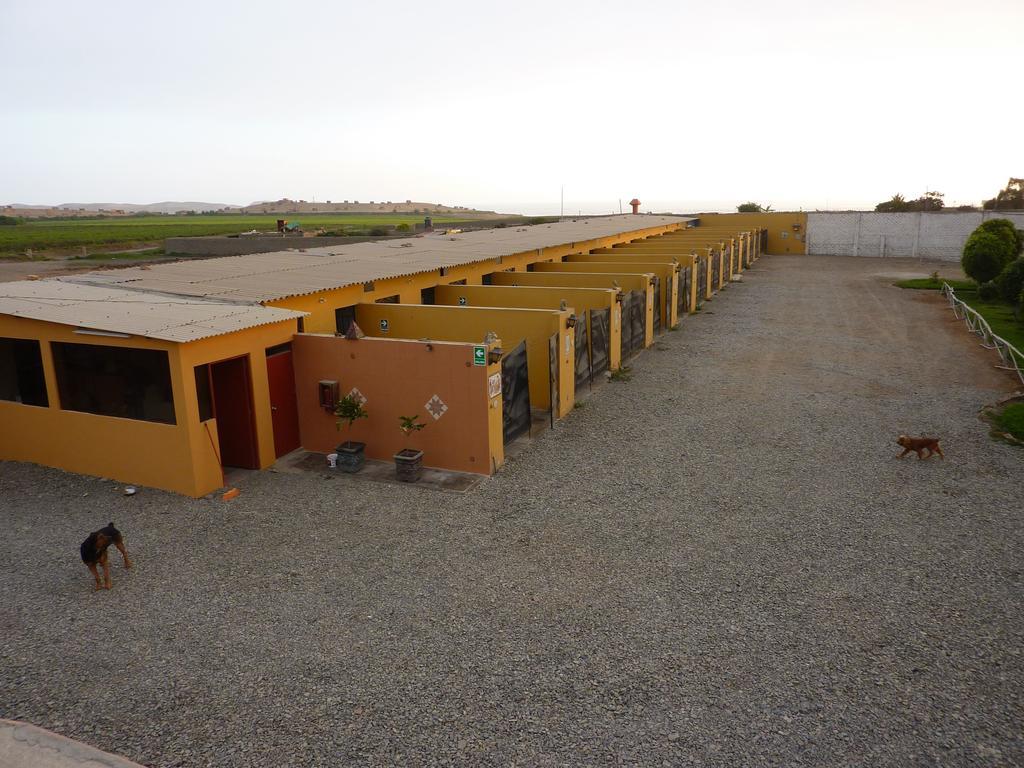 Motel Sahara Suites Barranca Exterior photo